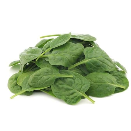 Commodity Canned Fruit & Vegetables Commodity Leaf Spinach No 10 Can, PK6 03230